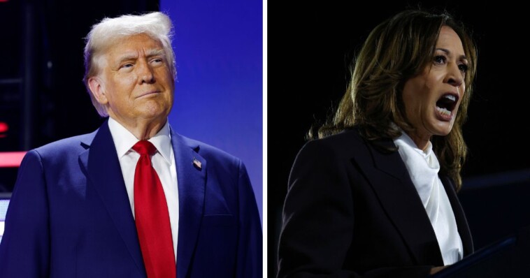 another-trump-polling-surge:-trump-slides-past-kamala-in-last-minute-poll