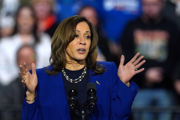 flustered-kamala-harris-spews-latest-word-salad-after-protesters-interrupt-nevada-rally 