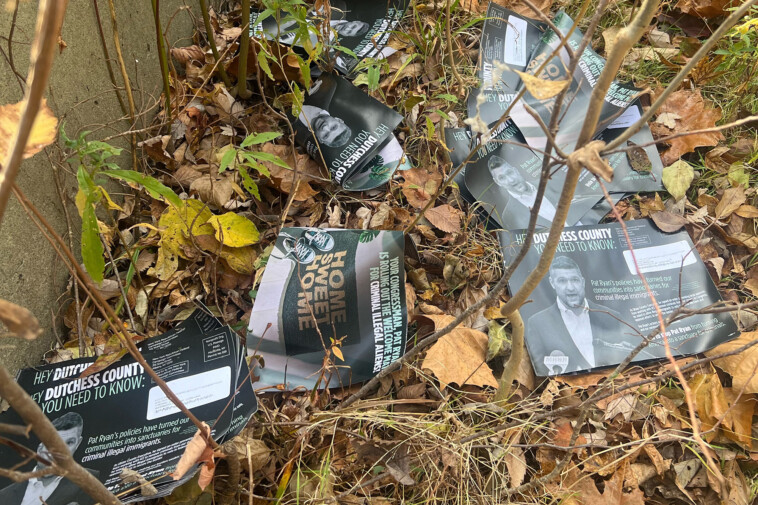 ny-republicans-claim-‘election-interference’-as-more-than-200-stamped-mailers-for-gop-house-candidate-alison-esposito-found-strewn-near-creek