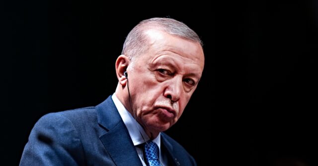 turkey’s-erdogan-asks-un.-to-override-security-council-and-demand-‘use-of-force’-against-israel