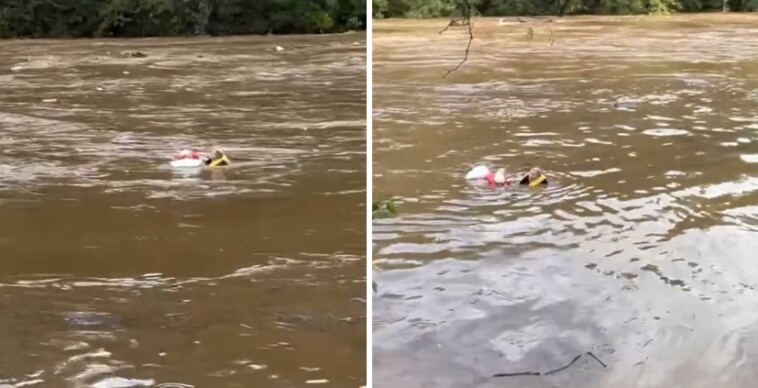 amazing-rescue-in-north-carolina-–-local-hero-jumps-in-raging-flood-waters-to-rescue-elderly-woman-who-was-swept-away-by-the-current-–-must-see-video