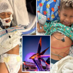 5-year-old-boy-on-disney-ride-with-his-mom-goes-into-cardiac-arrest:-‘i-was-screaming’