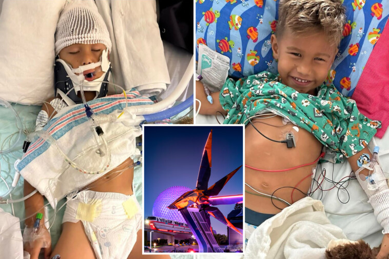 5-year-old-boy-on-disney-ride-with-his-mom-goes-into-cardiac-arrest:-‘i-was-screaming’