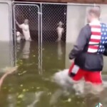 heartbreaking-footage-shows-heroic-rescues-of-animals-across-hurricane-helene’s-destruction-—-as-shelters-across-the-country-step-in-to-help