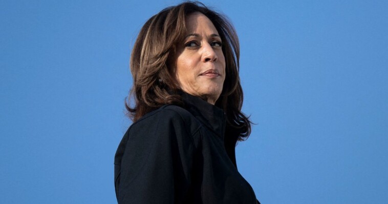 kamala-harris-under-fire-after-she-reveals-what-will-be-given-to-hurricane-helene-victims