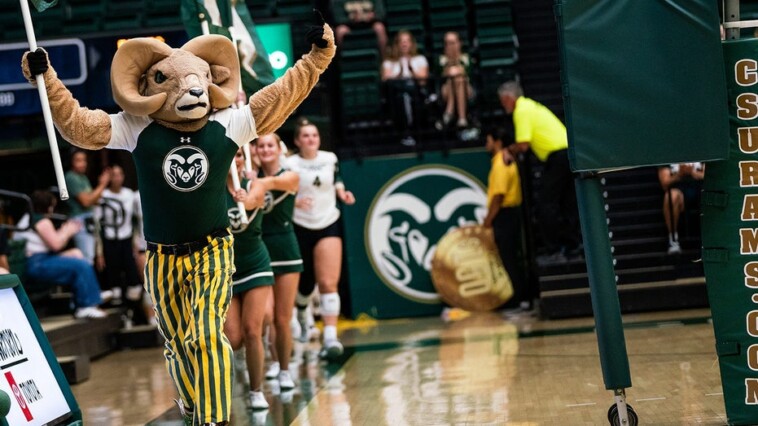 colorado-state-wins-in-straight-sets-after-deciding-to-play-against-team-mired-in-trans-player-controversy