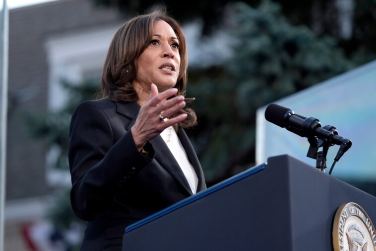 watchdog-calls-on-harris,-trump-to-release-their-plans-to-address-$35t-national-debt-before-election