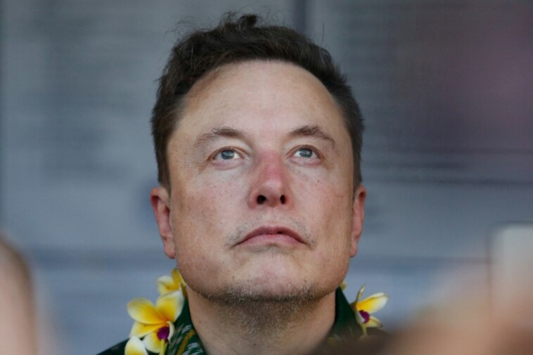 elon-musk,-matt-gaetz-accuse-fema-of-‘seizing’-aid,-stalling-starlink-deliveries-to-hurricane-helene-victims