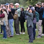 major-bird-migration-‘pulse’-coming-to-nyc-—-much-to-the-excitement-of-bird-watchers