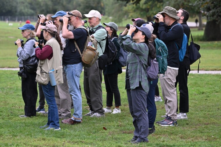 major-bird-migration-‘pulse’-coming-to-nyc-—-much-to-the-excitement-of-bird-watchers