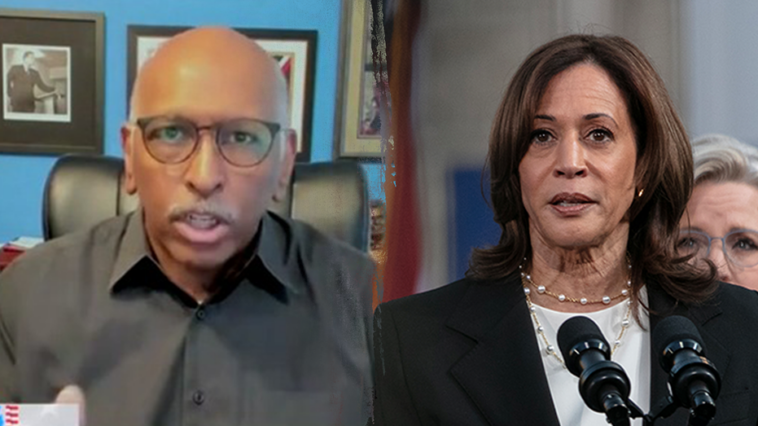 msnbc’s-steele-claims-trump’s-the-one-not-doing-media-as-gop-ticket-does-3x-more-interviews-than-harris-walz