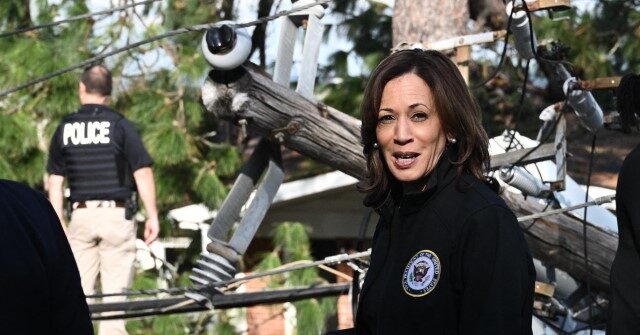 nolte:-slow-walking-aid-to-hurricane-ravaged-red-america-is-all-upside-for-kamala