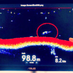 experienced-boat-captain-captures-gigantic,-mysterious-monster-shaped-sonar-image-at-loch-ness,-sending-the-‘nessie-craze’-into-full-swing-yet-again!