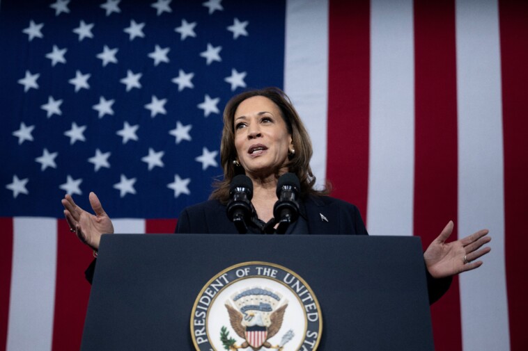 democrats-fear-kamala-harris-being-increasingly-mia-during-campaign-home-stretch:-‘what-the-f–k-are-y’all-doing’