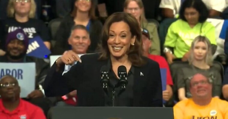 report:-democrats-privately-worried-about-kamala’s-chances-in-michigan-–-‘it’s-not-won’