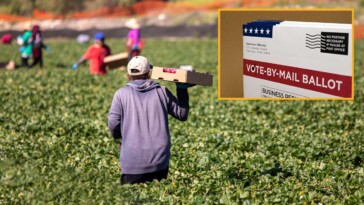 thousands-of-migrant-farmworkers-head-north-in-preparation-for-the-democrat-ballot-harvest