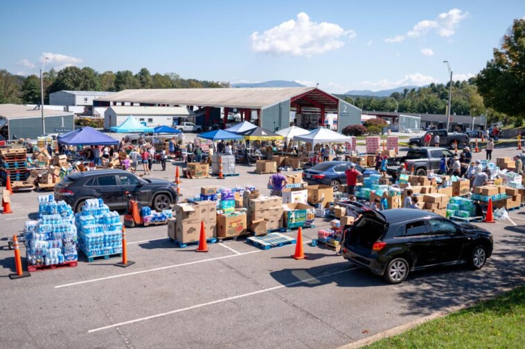 north-carolina-gears-up-for-increase-of-bee-stings-in-the-wake-of-hurricane-helene