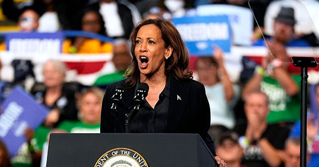 watch:-kamala-harris-melts-down-after-teleprompter-malfunctions-at-rally