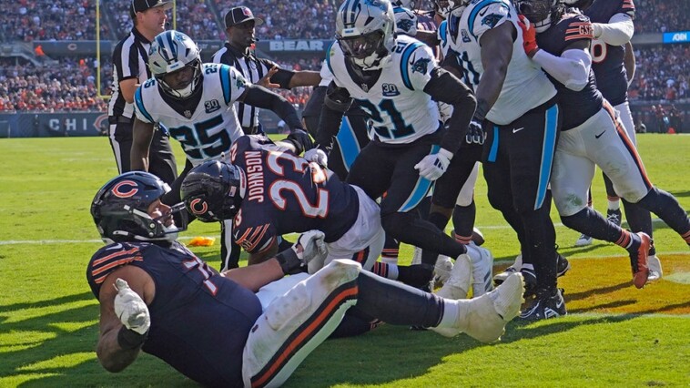 bears-panthers-fight-leads-to-ejections-in-chicago’s-blowout-win