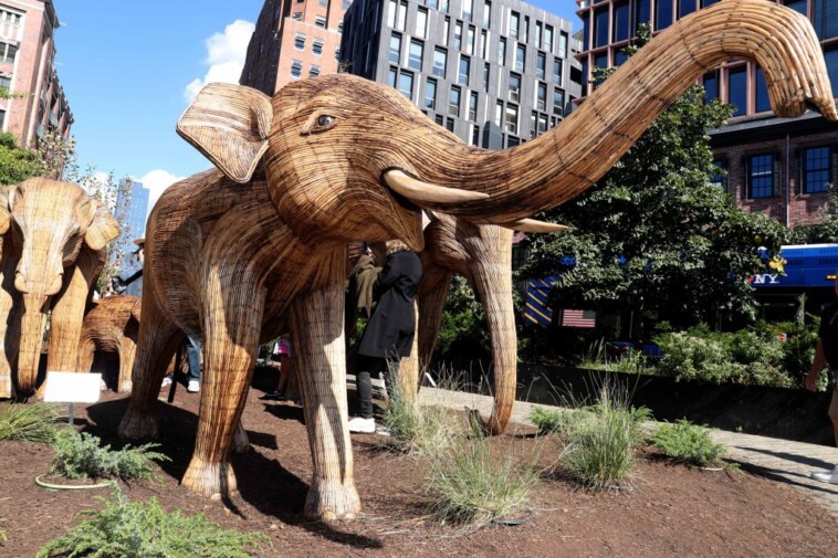 herd-of-100-life-sized-elephants-take-over-this-nyc-neighborhood-in-‘amazing’-art-installation