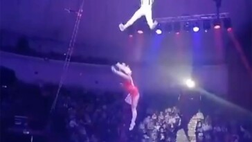 horrifying-moment-kids-watch-circus-acrobat-plunge-20-feet-after-‘mistake’-in-act