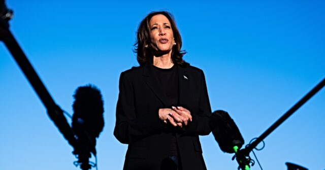 report:-democrats-fear-kamala-harris-is-wasting-time-on-campaign-trail