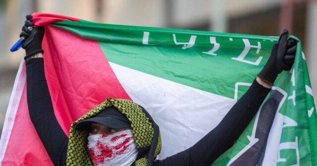 ‘largely-peaceful’-pro-palestinian-protests-in-new-york,-los-angeles-mark-october-7