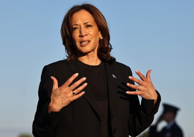 swing-state-muslim-group-endorses-jill-stein,-slams-kamala-harris-for-‘overseeing’-gaza-war