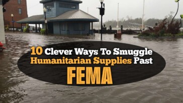 10-clever-ways-to-smuggle-humanitarian-supplies-past-fema