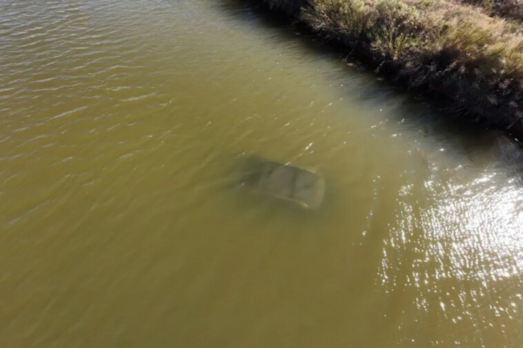 passerby-saves-woman-trapped-in-sinking-car-after-she-drove-into-texas-canal