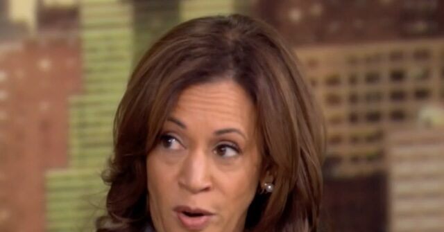 harris:-after-biden-passed-the-torch-i-called-my-pastor-—-‘i-needed-to-talk-to-god’