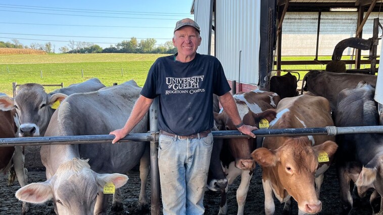 see-it:-wisconsin-dairy-farmer-says-‘no-question’-trump-admin-was-‘much-better’-than-biden-harris