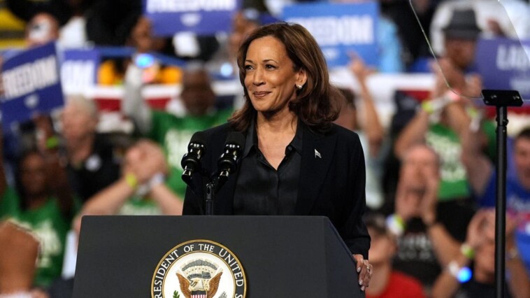 kamala-harris’-‘joy’-is-quietly-turning-to-panic-for-democrats