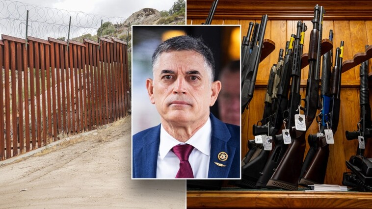 gop-lawmaker-unveils-effort-to-ban-illegal-immigrants-from-using-ids-to-buy-guns