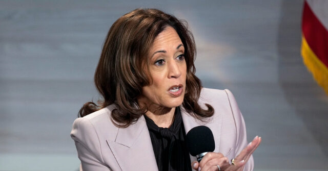 fact-check:-kamala-harris-claims-congress-must-‘fix’-southern-border-invasion