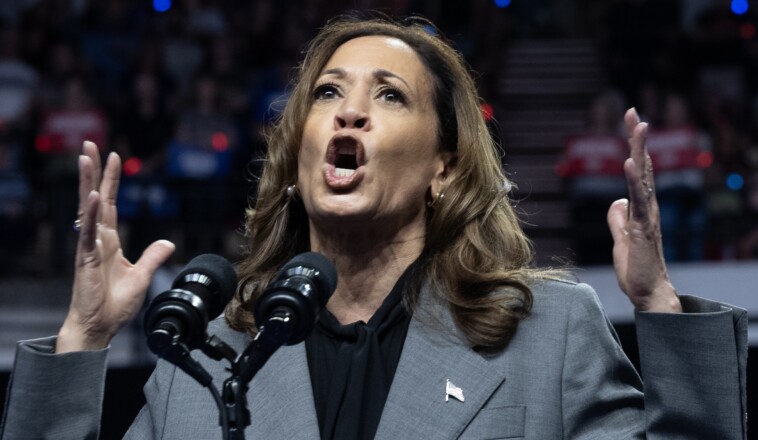 kamala-suggests-she-won-legitimate-primary-to-become-the-democrat-nominee