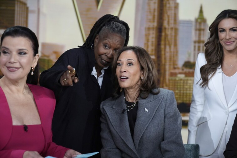 kamala-harris-sticks-to-script-on-migrants,-dodges-border-questions-on-‘60-minutes,’-‘the-view’