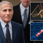 fauci-says-west-nile-virus-was-a-‘harrowing’-experience:-‘afraid-i-would-never-recover’