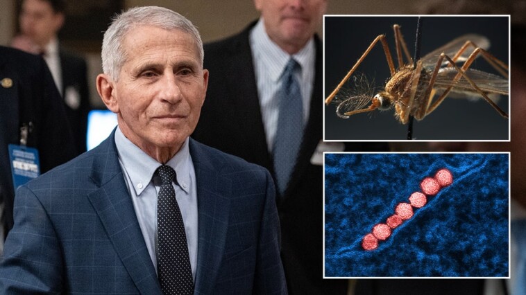 fauci-says-west-nile-virus-was-a-‘harrowing’-experience:-‘afraid-i-would-never-recover’