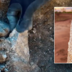 man-stumbles-across-gem-worth-thousands-hidden-in-dirt:-‘it’s-like-nothing-else’