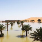 flooding-in-the-sahara-desert-fills-lake-that-had-been-dry-for-50-years