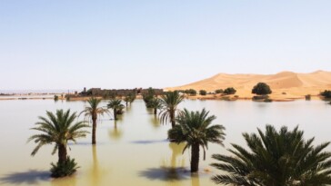 flooding-in-the-sahara-desert-fills-lake-that-had-been-dry-for-50-years