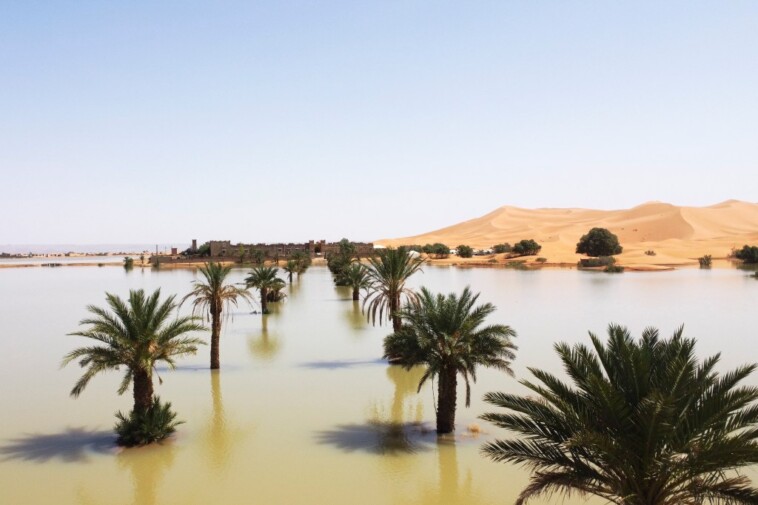 flooding-in-the-sahara-desert-fills-lake-that-had-been-dry-for-50-years