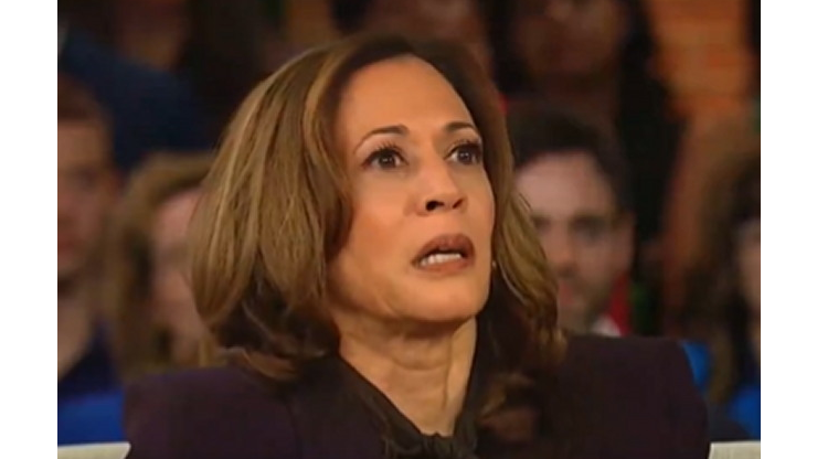 cnn:-source-close-to-harris-campaign-panicking-and-having-“flashbacks-to-2016”-after-kamala’s-media-blitz-turns-into-doom-spiral-(video)