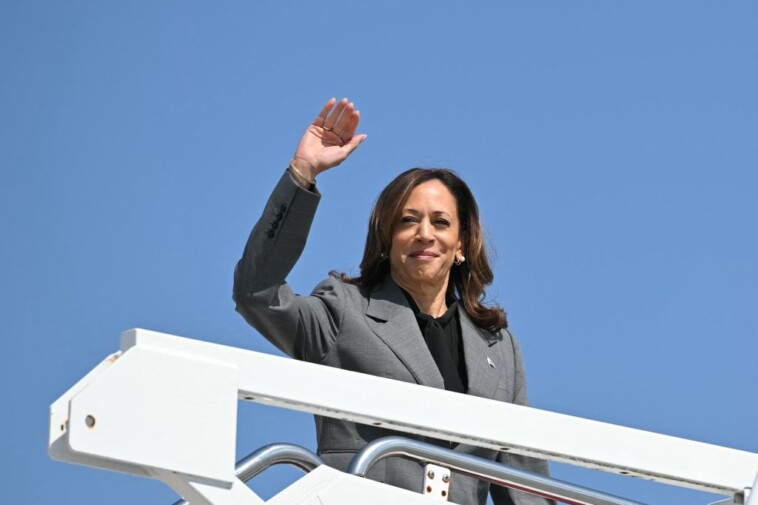 even-cnn-panel-agrees-kamala-made-big-mistake-attacking-desantis