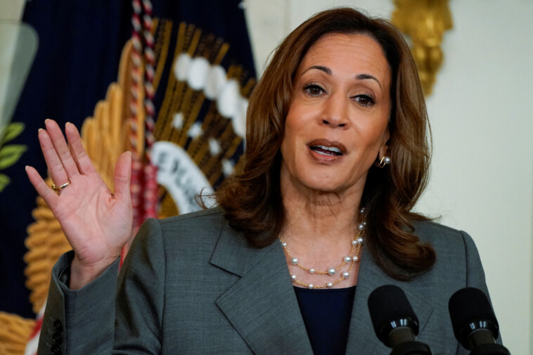 harris-team-raked-in-over-$1-billion-since-biden-dropped-out:-report