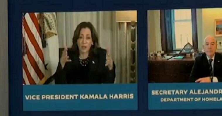 kamala-harris-called-out-after-viral-staff-interaction-during-hurricane-milton-broadcast-–-‘busted’?