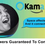 new-‘kamalexa’-edition-of-amazon-echo-will-just-ramble-for-10-minutes-without-ever-answering-your-questions