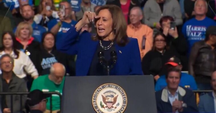 kamala-spirals-after-another-speech-is-interrupted-by-protestors-(video)