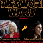 password-wars:-the-difference-between-the-fabricated-password-‘breach’-charges-against-tina-peters-and-the-huge-actual-password-breach-by-colorado-sos-jena-griswold.